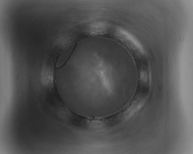 X0000102411300200808011559