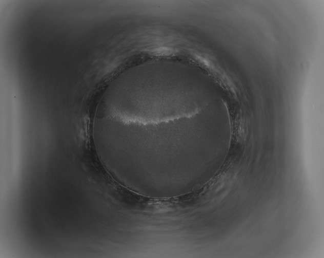 X0000102411301200808011559