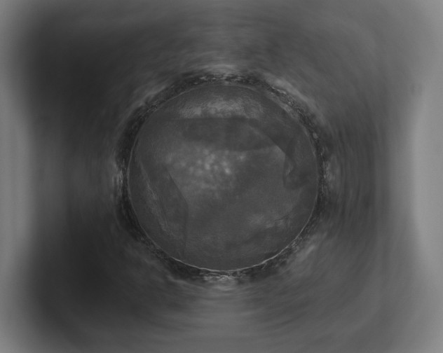 X0000102411302200808011559