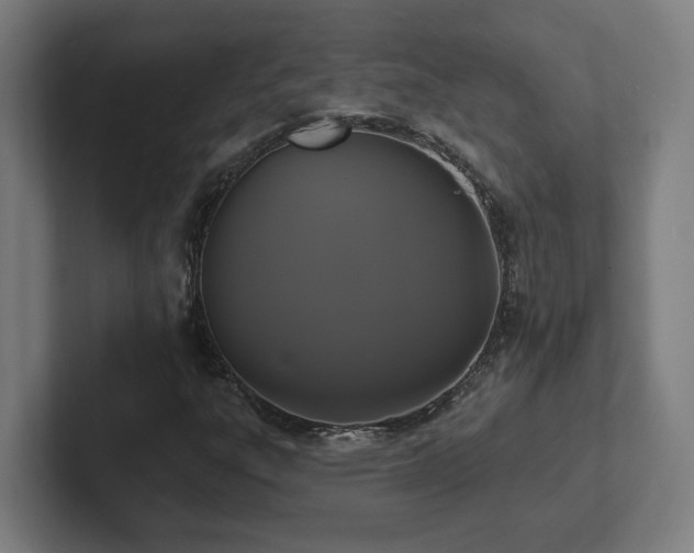 X0000102411303200808011559