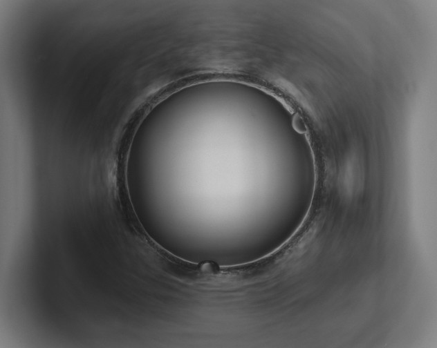 X0000102411307200808011559