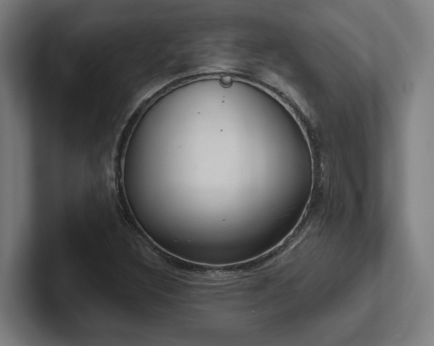X0000102411308200808011559
