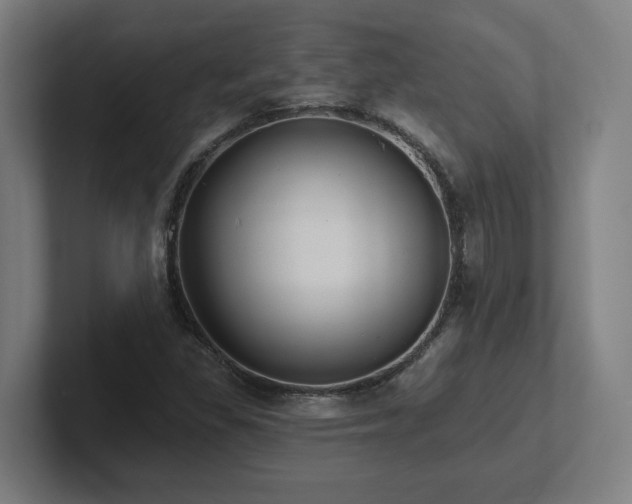 X0000102411309200808011559