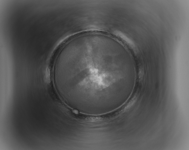 X0000102411310200808011559