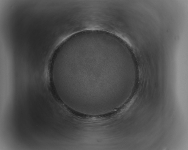 X0000102411311200808011559