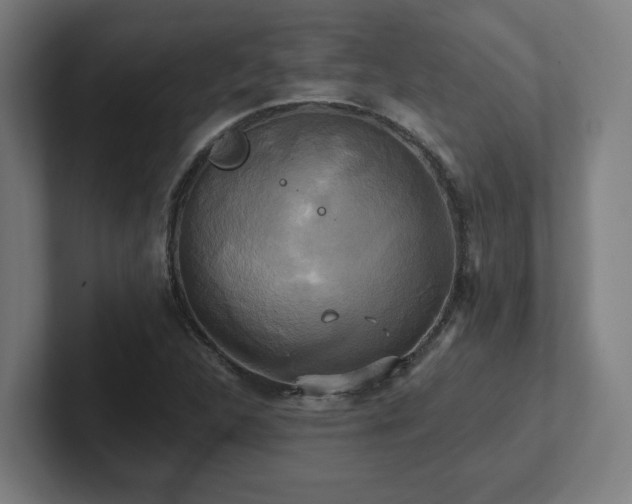 X0000102411312200808011559