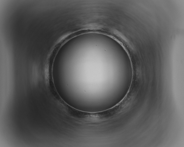 X0000102411315200808011559