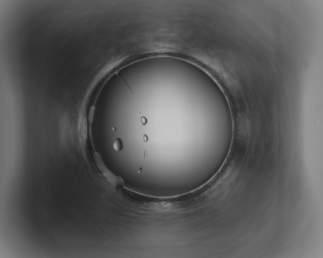 X0000102411317200808011559