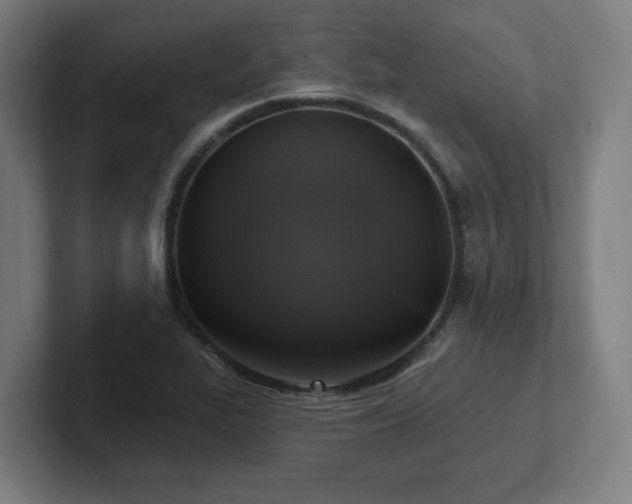 X0000102411319200808011559