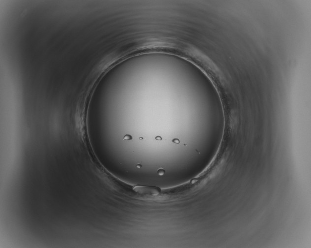 X0000102411321200808011559