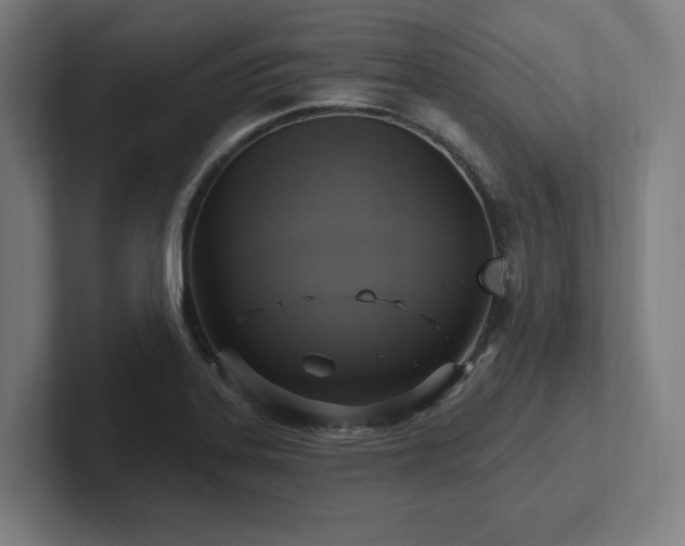 X0000102411323200808011559