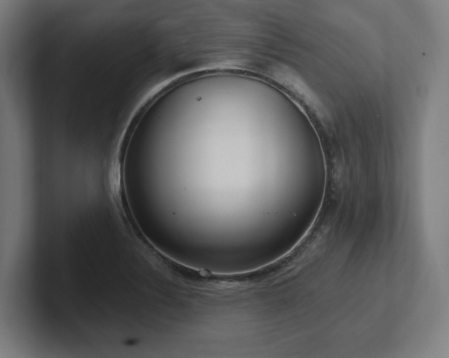 X0000102411324200808011559