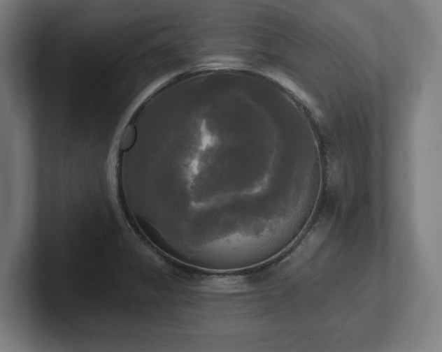 X0000102411325200808011559