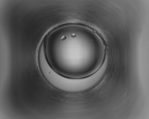 X0000102411326200808011559