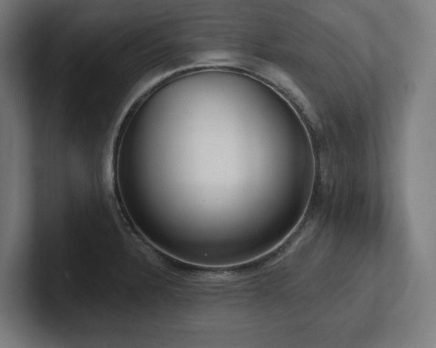 X0000102411328200808011559
