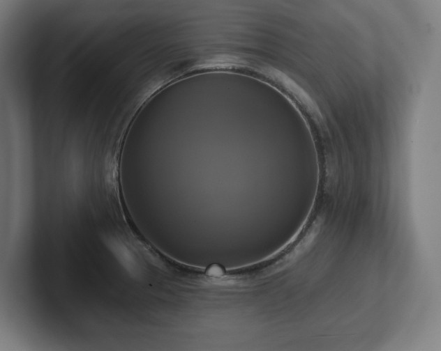 X0000102411329200808011559