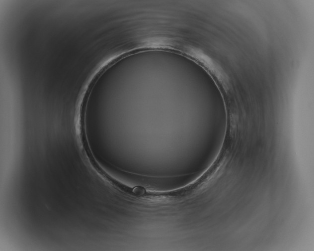 X0000102411331200808011559