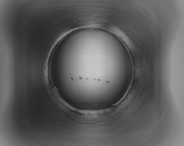 X0000102411332200808011559