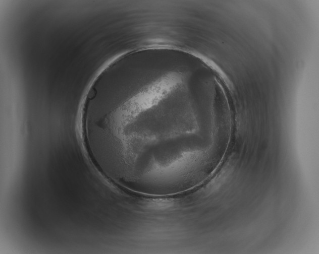 X0000102411333200808011559