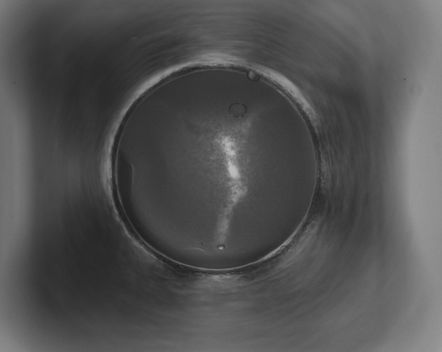 X0000102411335200808011559