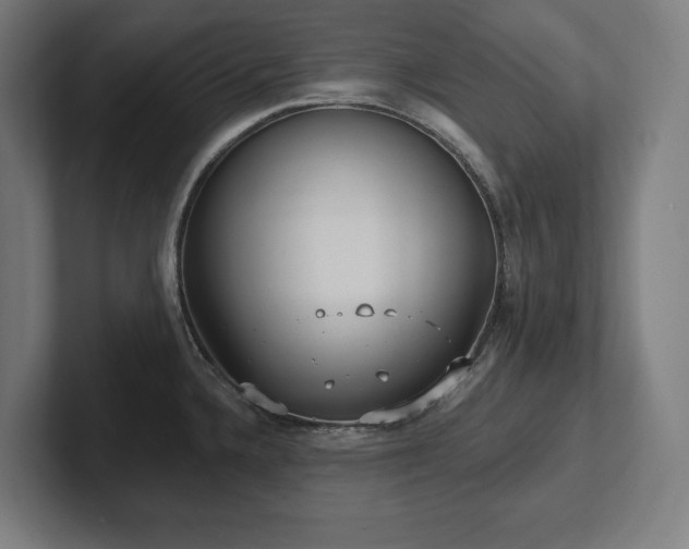X0000102411336200808011559