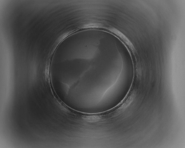 X0000102411337200808011559
