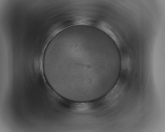 X0000102411338200808011559