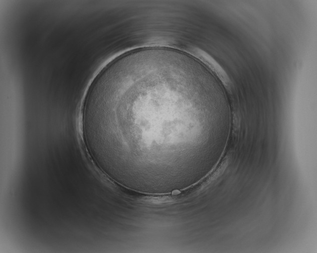 X0000102411340200808011559