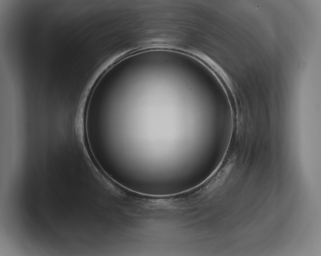 X0000102411341200808011559