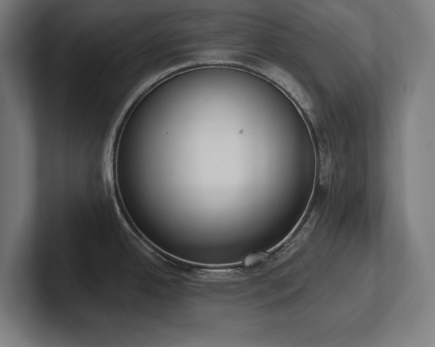 X0000102411342200808011559