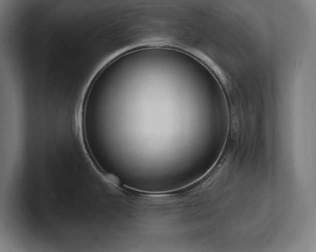 X0000102411343200808011559