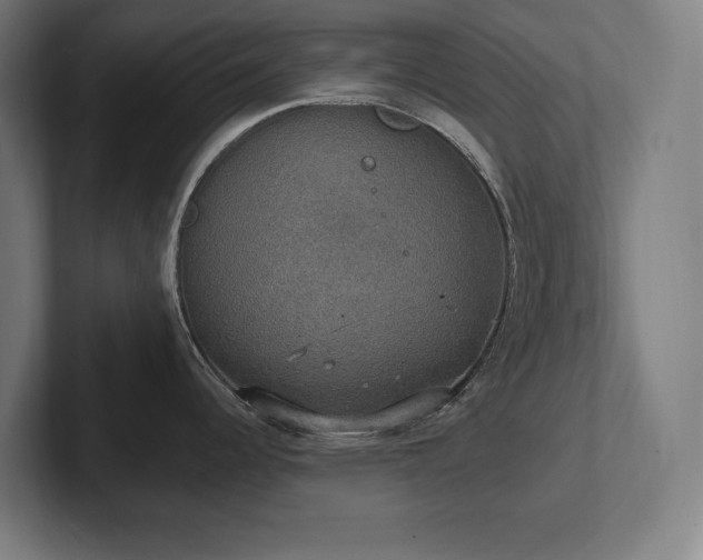 X0000102411344200808011559