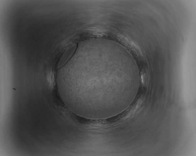 X0000102411347200808011558