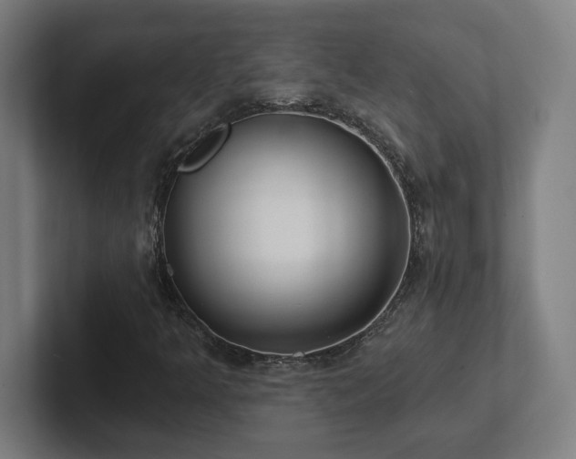 X0000102411349200808011558