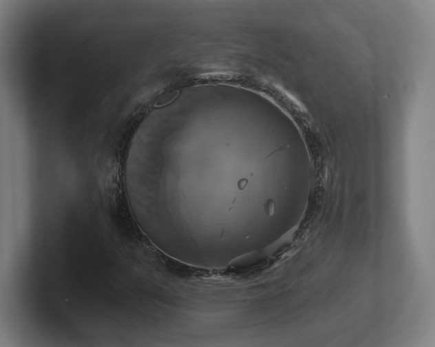 X0000102411351200808011558