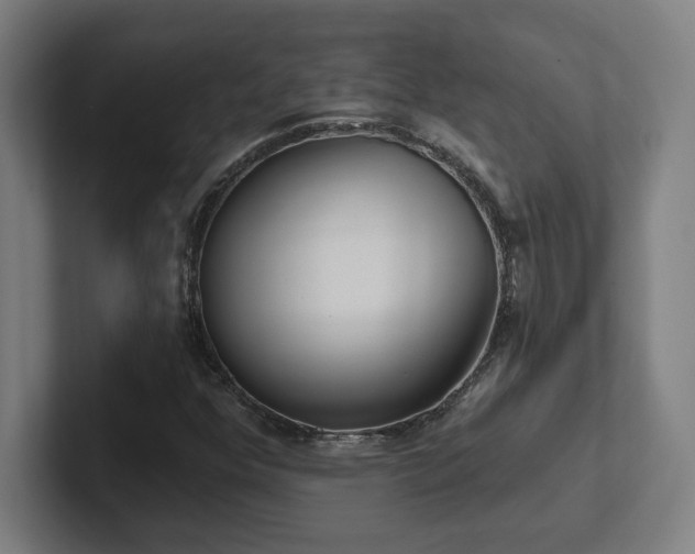 X0000102411352200808011558