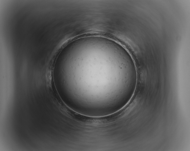 X0000102411355200808011558