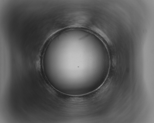 X0000102411356200808011558
