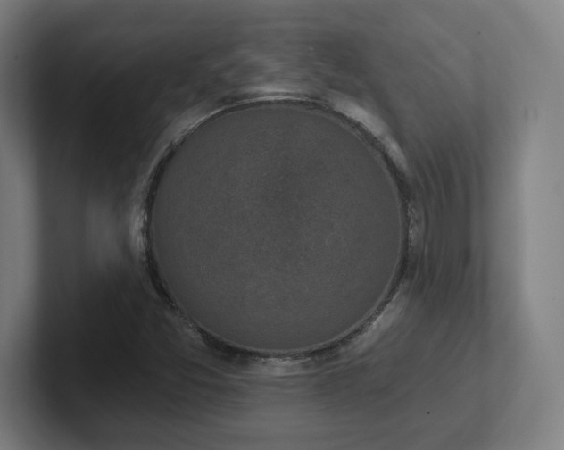 X0000102411357200808011558