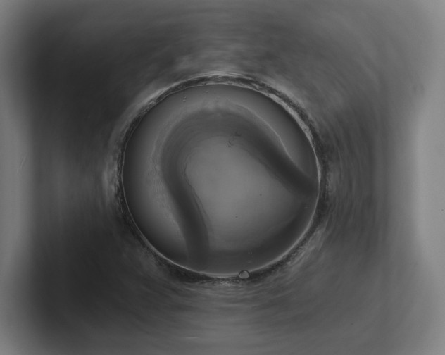X0000102411359200808011558