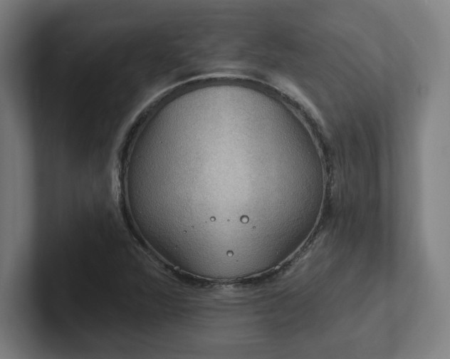 X0000102411360200808011558