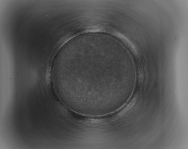 X0000102411361200808011558