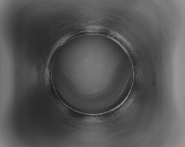 X0000102411362200808011558