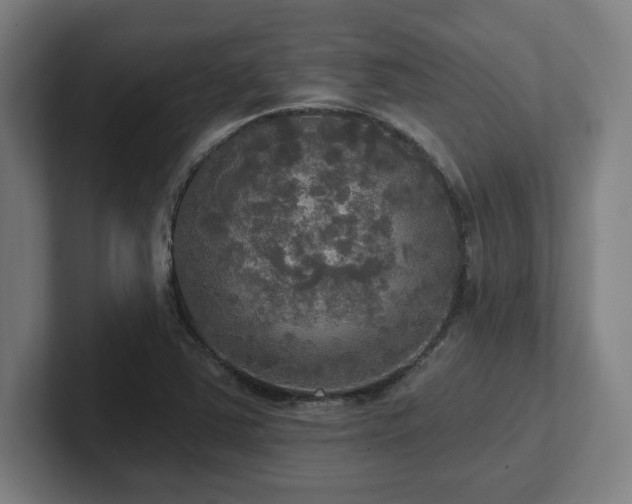 X0000102411363200808011558