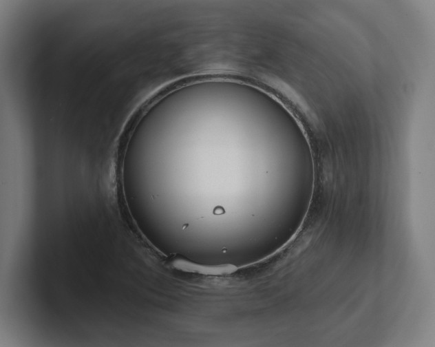 X0000102411364200808011558