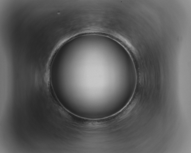 X0000102411366200808011558