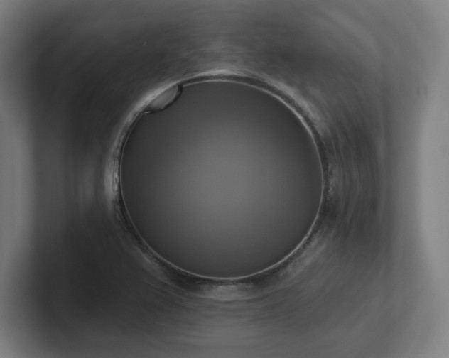 X0000102411367200808011558