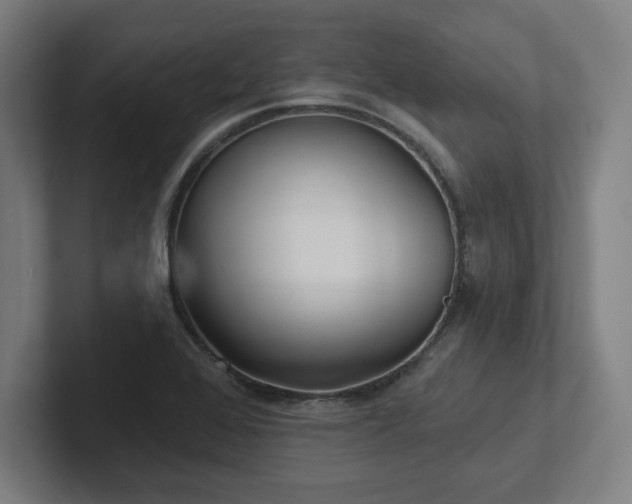 X0000102411368200808011558
