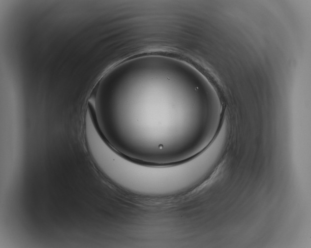 X0000102411369200808011558