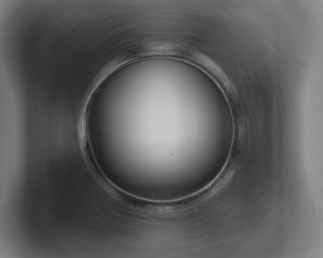 X0000102411370200808011558